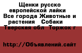 Щенки русско европейской лайки - Все города Животные и растения » Собаки   . Тверская обл.,Торжок г.